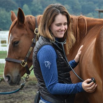 Woman with stethoscope checking horses body