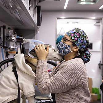 animal welfare worker with a dog in a mobile clinic