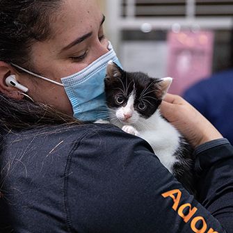 ASPCA staff member holding a kitten