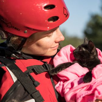 Woman saving cat