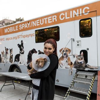 Spay/Neuter Clinic
