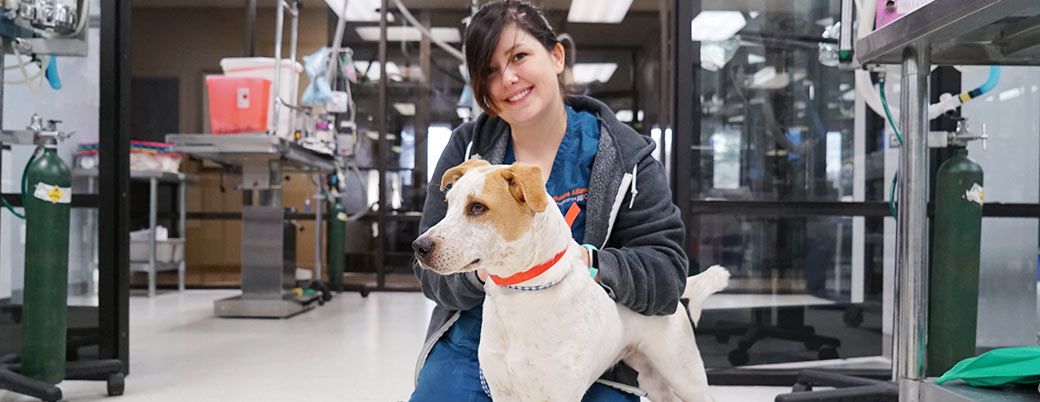 ASPCA Spay/Neuter Alliance | Asheville | Low-cost S/N Clinic