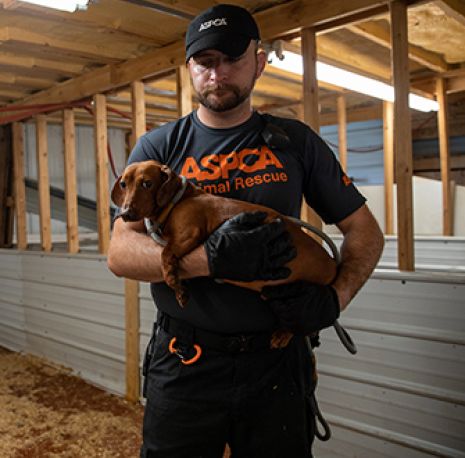 ASPCA Animal Rescue Member holding a dog in his arms.