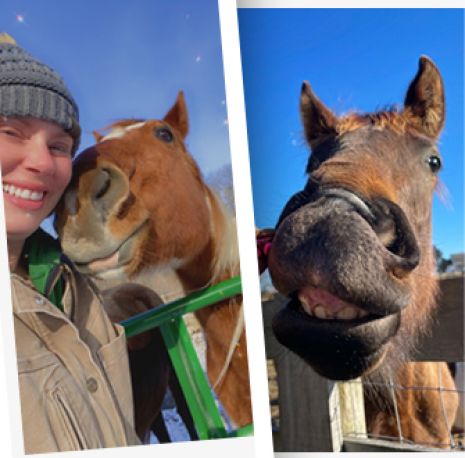 ASPCA “Relinquishers Welcome” Grant Is Changing the Fate of Equines