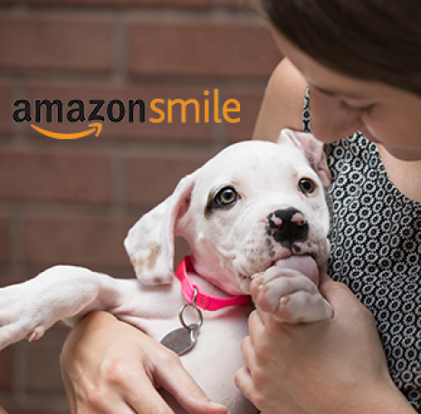ASPCA | American Society for the Prevention of Cruelty to Animals