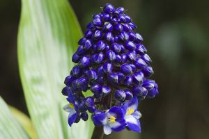 cat crates with litter box