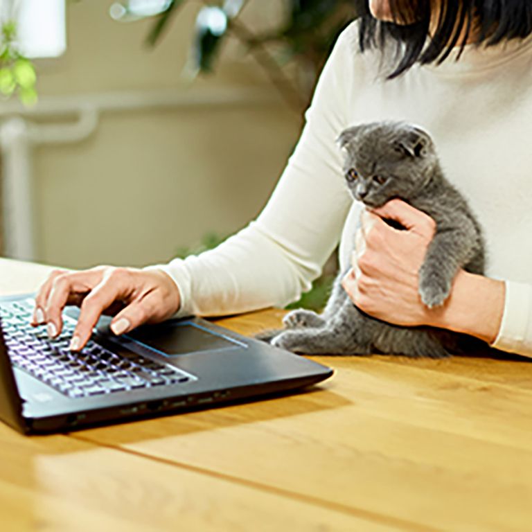 a cat with a person at a computer