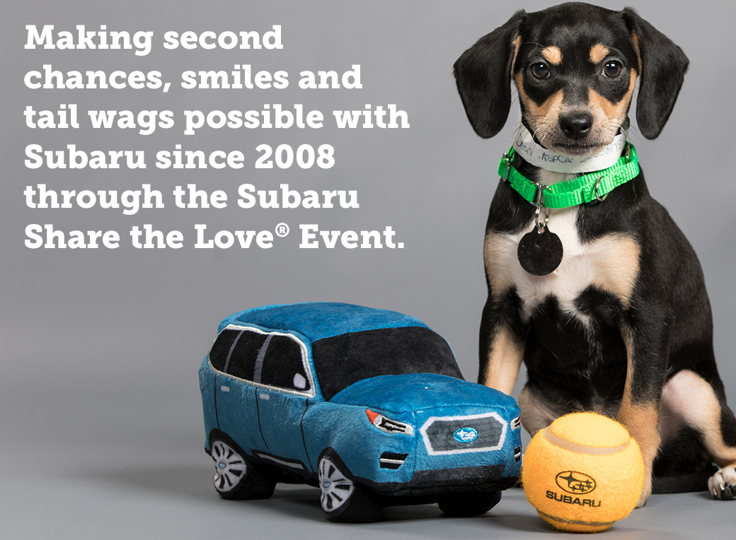 Making second chances, smiles and tail wags possible with Subaru since 2008 through the Subaru Share the Love ® Event