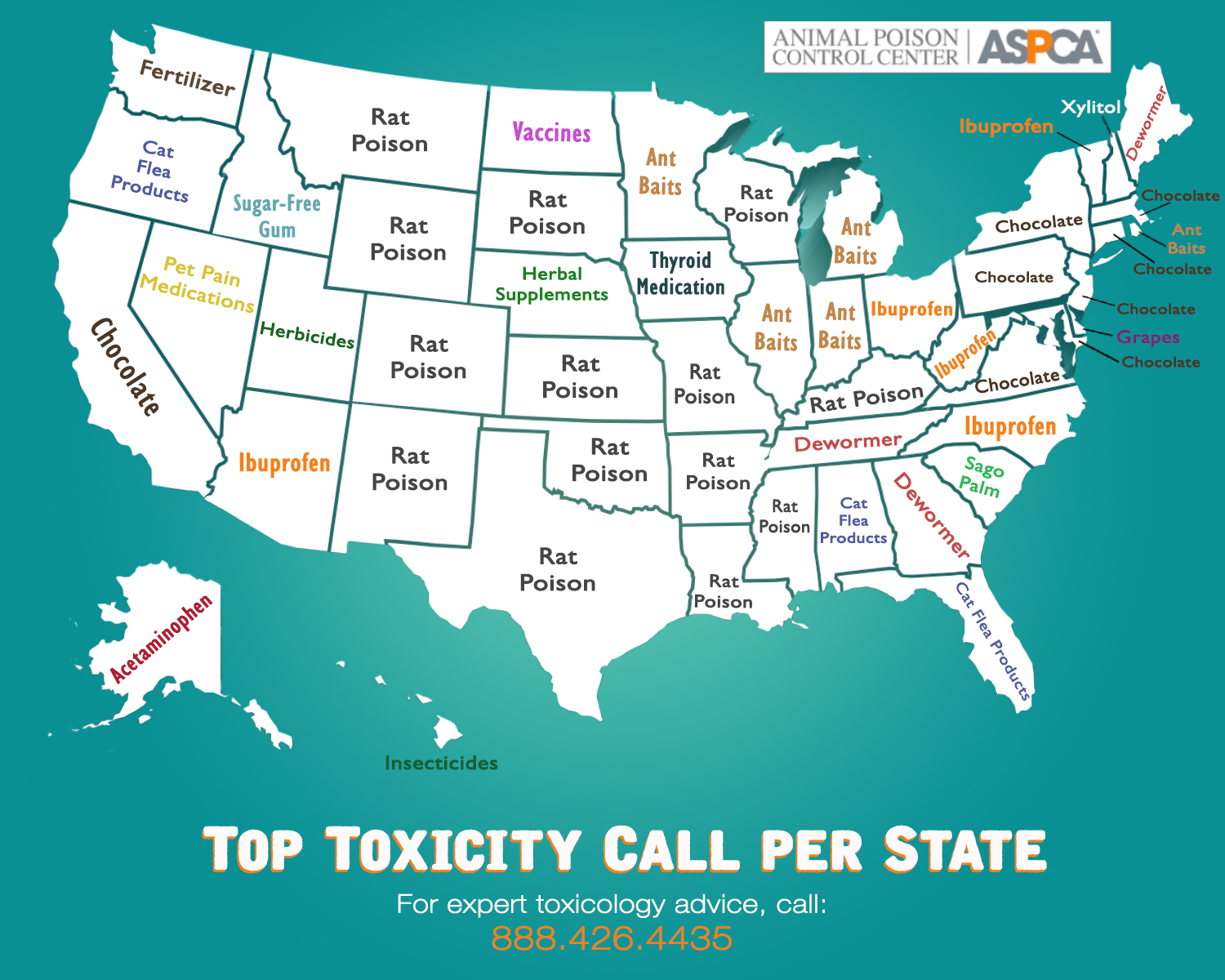 What S The Top Pet Toxin In Your State The Aspca Animal Poison Control Center Shares Its Most Frequent Call Topics Aspca