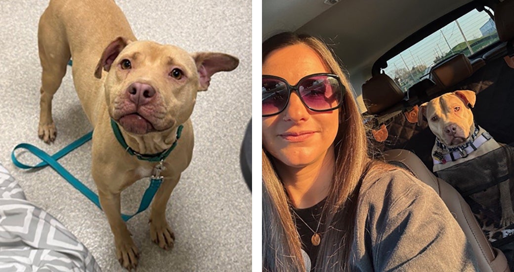 From left: Apricot just after arriving at Rescue Village; with Andrea on the way home.