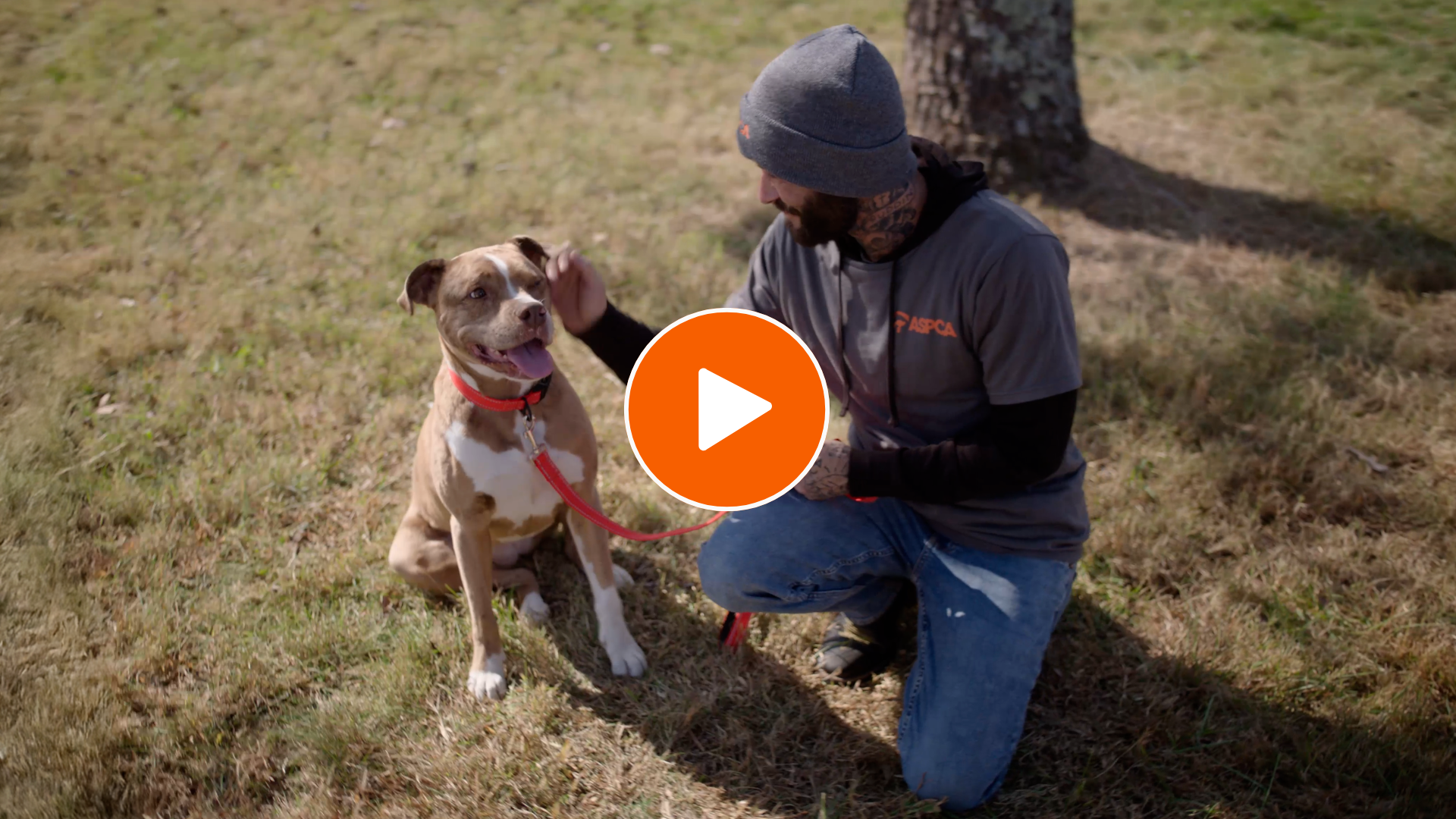 Man crouching next to dog with video play icon on top of image
